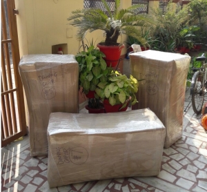 Service Provider of Household Packers And Movers Lucknow Uttar Pradesh 