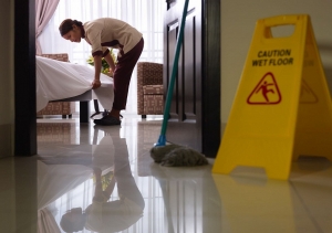 Service Provider of Housekeeping Services for Hotel Jaipur Rajasthan 
