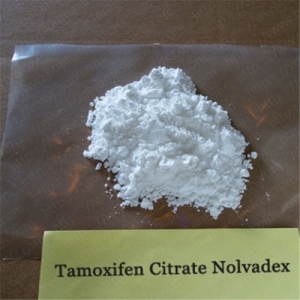 Hupharma Anti Estrogen Tamoxifen Citrate Powder Nolvadex Manufacturer Supplier Wholesale Exporter Importer Buyer Trader Retailer in Shenzhen Guangdong China