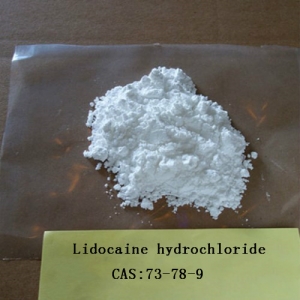 Hupharma Lidocaine HCL local anesthetic Lidocaine hydrochloride Manufacturer Supplier Wholesale Exporter Importer Buyer Trader Retailer in Shenzhen Guangdong China