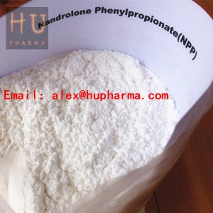 Hupharma Nandrolone Phenylpropionate injectable steroids Powder Manufacturer Supplier Wholesale Exporter Importer Buyer Trader Retailer in Shenzhen Guangdong China