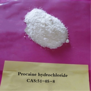 Hupharma Procaine HCL local anesthetic procaine hydrochloride Manufacturer Supplier Wholesale Exporter Importer Buyer Trader Retailer in Shenzhen  China