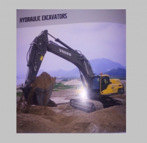 Hydraulic Excavators Services in Rohini Sector 20 Delhi India