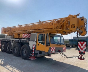 Hydraulic Mobile Crane Services in Bhiwadi  India