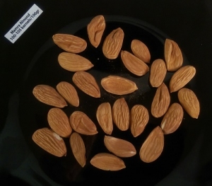 Manufacturers Exporters and Wholesale Suppliers of Almond isfahan Almond