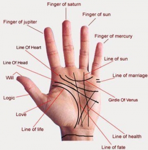 Service Provider of palmistry line reading Haridwar Uttarakhand 