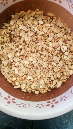 Roasted peanut Manufacturer Supplier Wholesale Exporter Importer Buyer Trader Retailer in Ahmadabad Gujarat India