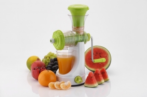 Fruit Juicer Manufacturer Supplier Wholesale Exporter Importer Buyer Trader Retailer in Rajkot Gujarat India