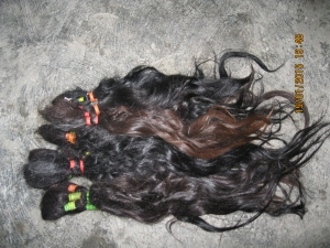 Manufacturers Exporters and Wholesale Suppliers of Indian Raw Material Hair MURSHIDABAD West Bengal