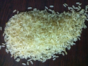 Manufacturers Exporters and Wholesale Suppliers of Indian Short Grain Par-Boiled Rice Ghaziabad Uttar Pradesh