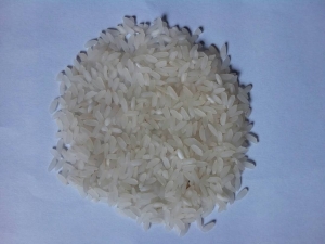 Manufacturers Exporters and Wholesale Suppliers of Indian Short Grain White Rice Ghaziabad Uttar Pradesh