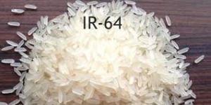 IR 64 RICE Manufacturer Supplier Wholesale Exporter Importer Buyer Trader Retailer in Nagpur Maharashtra India