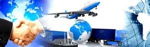 Import and Export Consultancy Services in Palam Calony Delhi India
