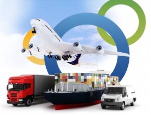 Service Provider of Imports New Delhi Delhi 