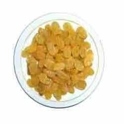 Manufacturers Exporters and Wholesale Suppliers of Indian Raisins Nagpur Maharashtra