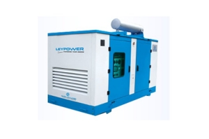 Industrial Generators Leypower- Lp 45 Kva