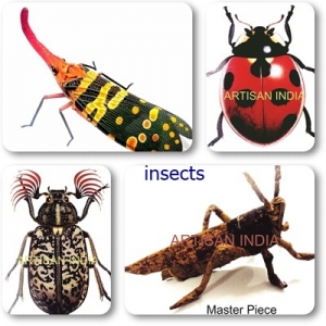 Manufacturers Exporters and Wholesale Suppliers of Insects LED Frame Nagpur Maharashtra