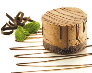 Manufacturers Exporters and Wholesale Suppliers of Instant Chocolate Mousse Mix mumbai Maharashtra