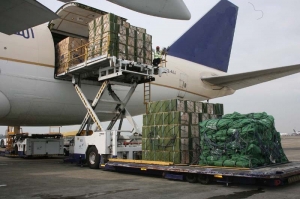 Service Provider of International Cargo Agents Khanpur Delhi