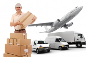 Service Provider of International Moving Patna Bihar 