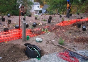 Irrigation Design & Installation