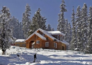 Service Provider of JAMMU SRINAGAR SONMARG GULMARG SRINAGAR JAMMU Manali Himachal Pradesh 