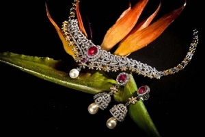 Service Provider of JEWELLERY PHOTOGRAPHY Noida Uttar Pradesh 