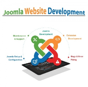 Service Provider of Joomla Website Development Delhi Delhi 