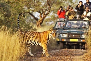 KASHMIR WITH WILDLIFE TOUR PACKAGE Services in Manali Himachal Pradesh India