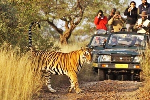 Service Provider of KASHMIR WITH WILDLIFE TOUR PACKAGE Manali Himachal Pradesh 