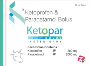 Manufacturers Exporters and Wholesale Suppliers of KETOPAR BOLUS AMBALA CITY Haryana