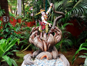 Krishna Murti