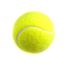 Manufacturers Exporters and Wholesale Suppliers of LAWN TENNIS BALLS Delhi Delhi