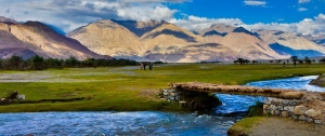 Service Provider of LEH TSO MORIRI LAKE TSOKAR LAKE NUBRA VALLEY LEH PANGONG LEH Manali Himachal Pradesh