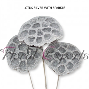 Manufacturers Exporters and Wholesale Suppliers of LOTUS SILVER WITH SPARKLE Kolkata West Bengal