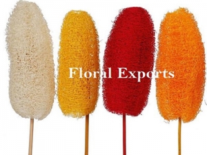 Manufacturers Exporters and Wholesale Suppliers of LUFFA COLOUR Kolkata West Bengal
