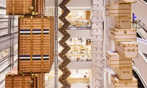 Service Provider of LV installations Uday Vihar West Delhi Delhi 