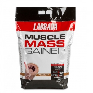 Manufacturers Exporters and Wholesale Suppliers of LABRADA MASS GAINER 5kg. Ghaziabad Uttar Pradesh