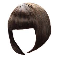Manufacturers Exporters and Wholesale Suppliers of Ladies Short Hair Wig MUMBAI Maharashtra