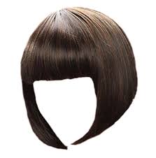 Ladies Short Hair Wig Manufacturer Supplier Wholesale Exporter Importer Buyer Trader Retailer in MUMBAI Maharashtra India