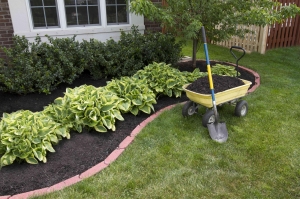 Service Provider of Landscaping Contractor New Delhi Delhi