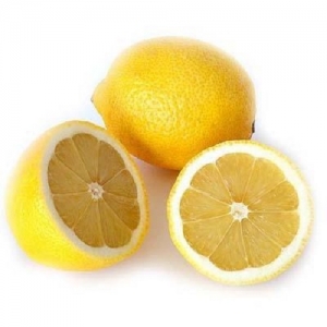 Manufacturers Exporters and Wholesale Suppliers of Lemons Mumbai Maharashtra