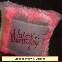 Manufacturers Exporters and Wholesale Suppliers of Lighting Pillow And Cushion Surat Gujarat