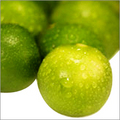 Manufacturers Exporters and Wholesale Suppliers of Lime Oil Unjha Gujarat