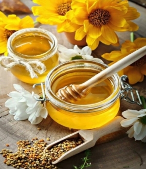 Litchi Honey Manufacturer Supplier Wholesale Exporter Importer Buyer Trader Retailer in Gondia Maharashtra India