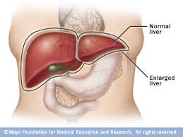 Liver & Liver Related Ailments Services in Mumbai  Maharashtra India