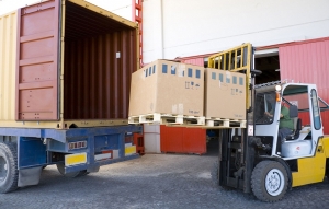 Service Provider of Loading & Unloading Chandigarh Punjab 
