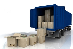 Service Provider of Loading And Unloading Service Roshan Vihar Delhi 