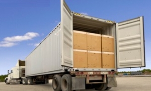 Service Provider of Loading And Unloading Bikaner Rajasthan