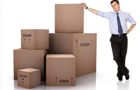 Loading Unloading Services Services in Lucknow Uttar Pradesh India